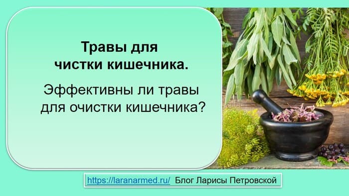 Травы для чистки кишечника.