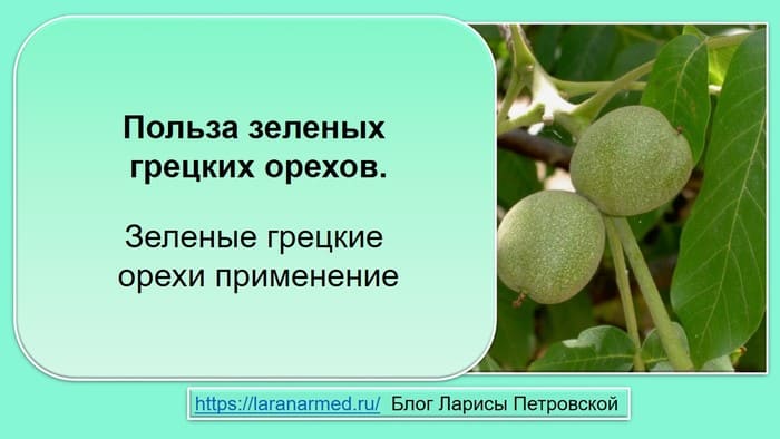 Польза зеленых грецких орехов